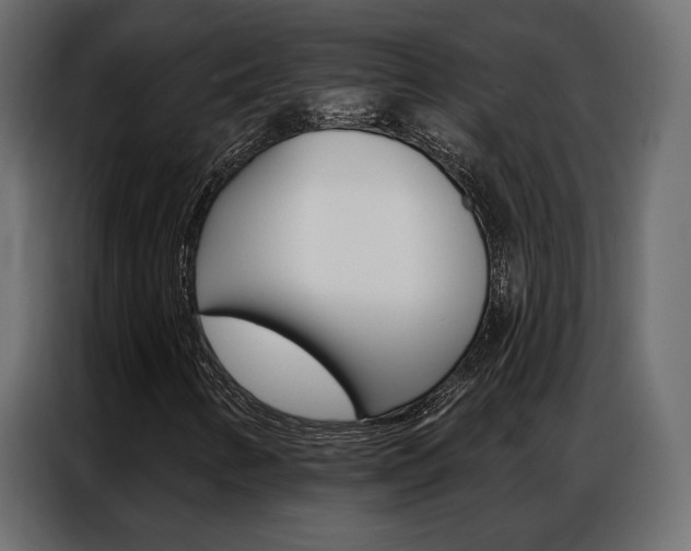 X0000086901346200704160937