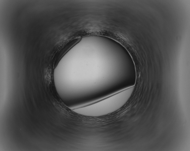X0000086901348200704160937