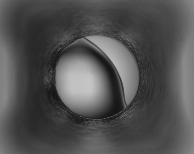 X0000086901349200704160937