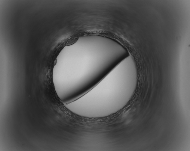 X0000086901351200704160937