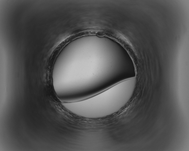 X0000086901352200704160937