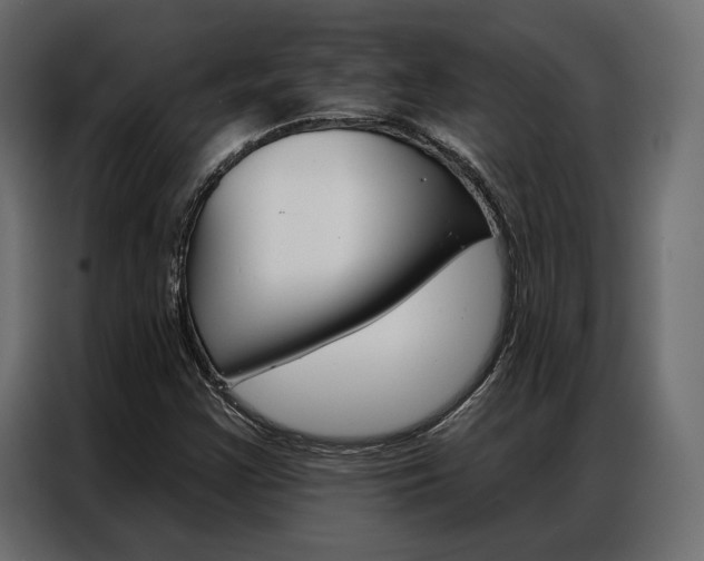 X0000086901355200704160937