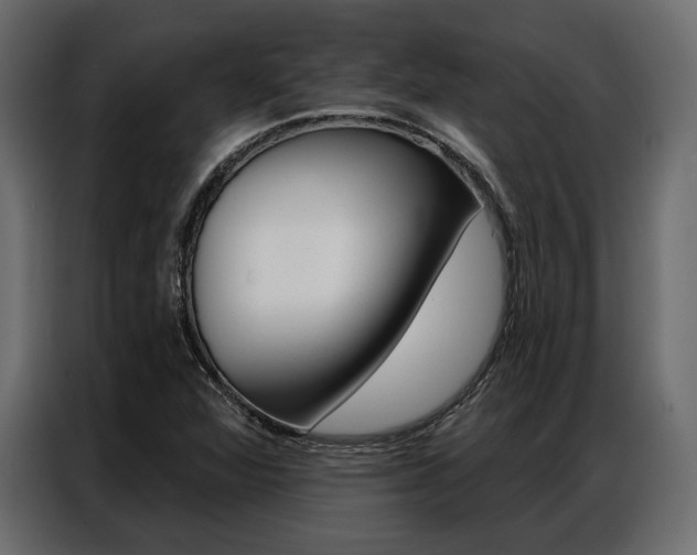 X0000086901360200704160937