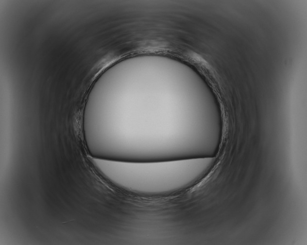 X0000086901361200704160937