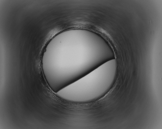 X0000086901362200704160937