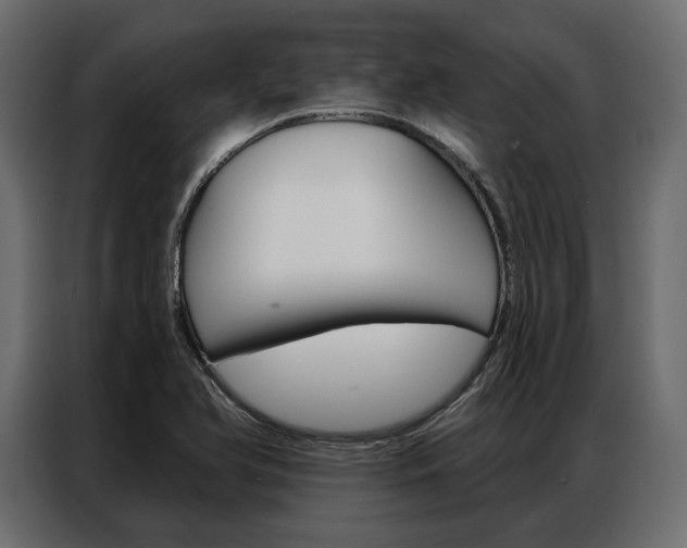 X0000086901366200704160937