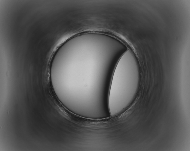 X0000086901367200704160937