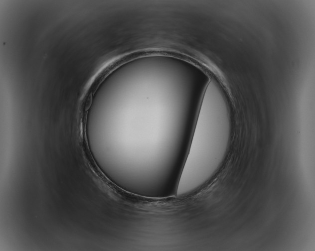 X0000086901368200704160937