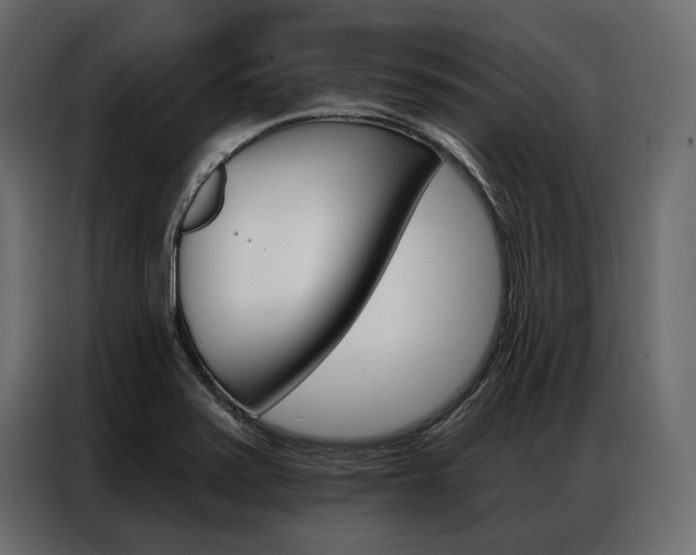 X0000086901371200704160937