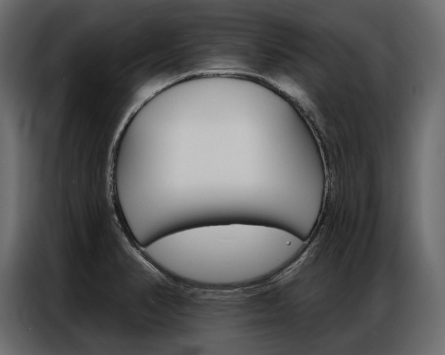 X0000086901374200704160937