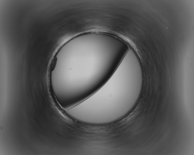 X0000086901375200704160937