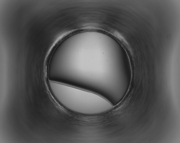 X0000086901376200704160937
