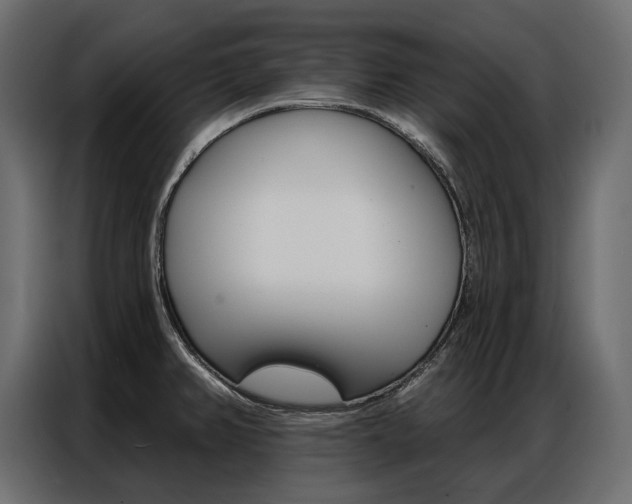 X0000086901382200704160937