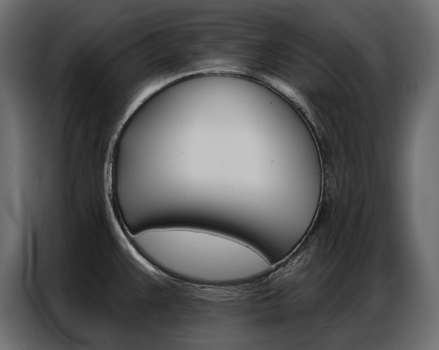 X0000086901383200704160937
