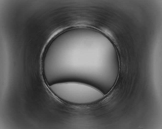 X0000086901384200704160937