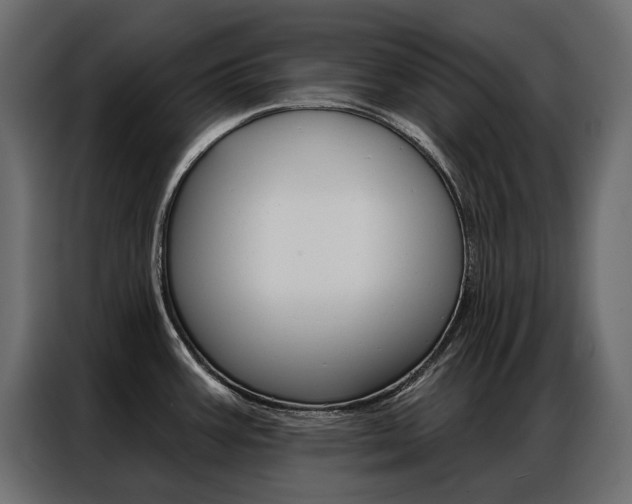 X0000086901387200704160937