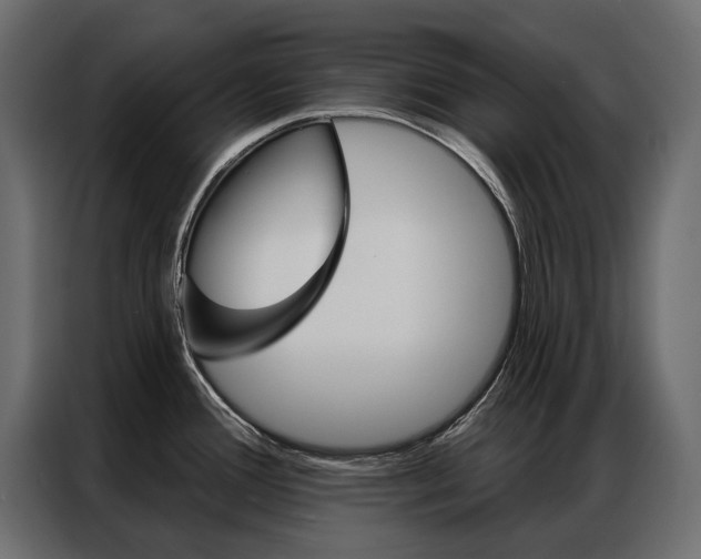 X0000086901388200704160937