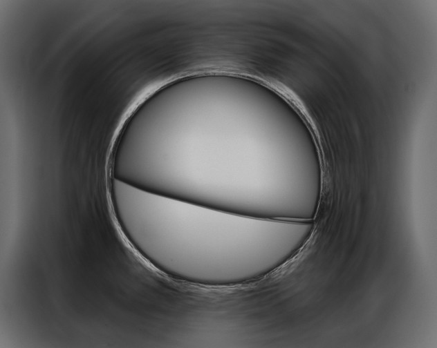 X0000086901389200704160937