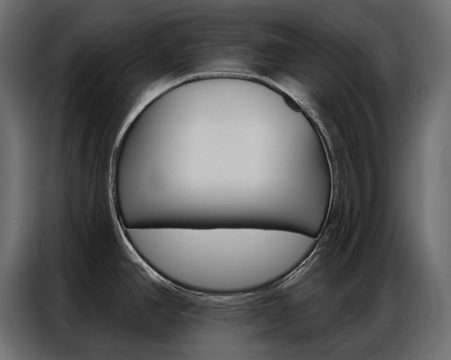 X0000086901390200704160937