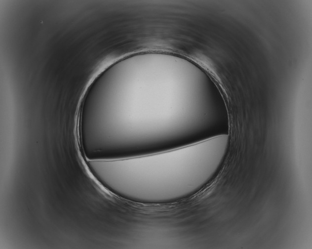 X0000086901391200704160937