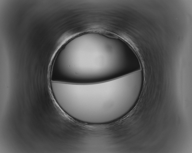 X0000086901392200704160937