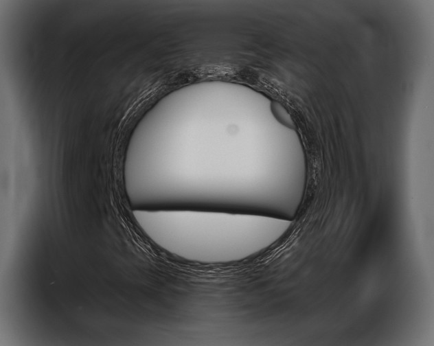 X0000086901393200704160936