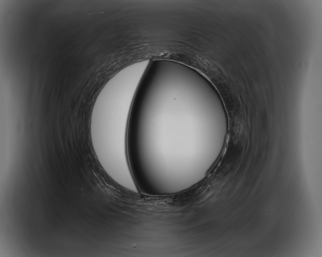 X0000086901394200704160936