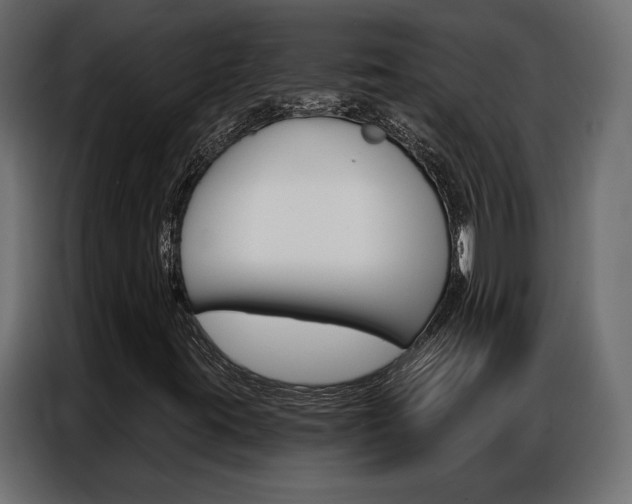 X0000086901395200704160936