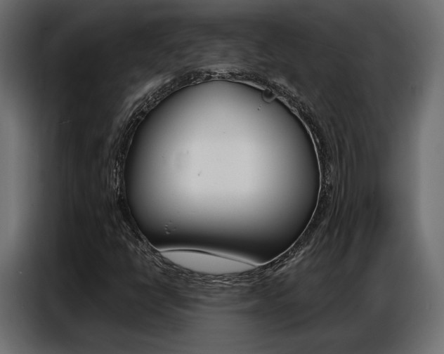 X0000086901398200704160936