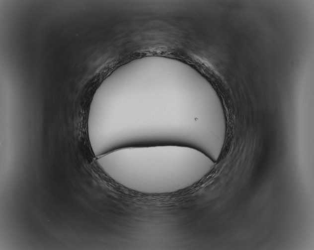 X0000086901399200704160936