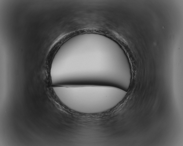 X0000086901400200704160936