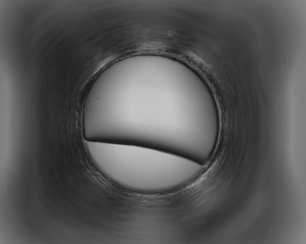 X0000086901401200704160936