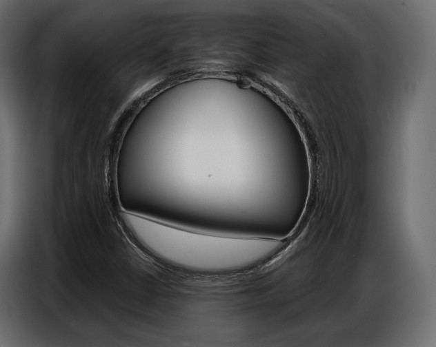 X0000086901402200704160936