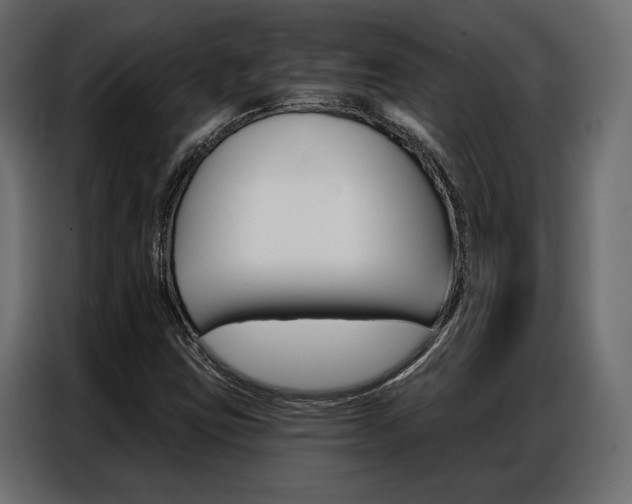 X0000086901403200704160936