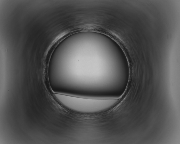 X0000086901410200704160936