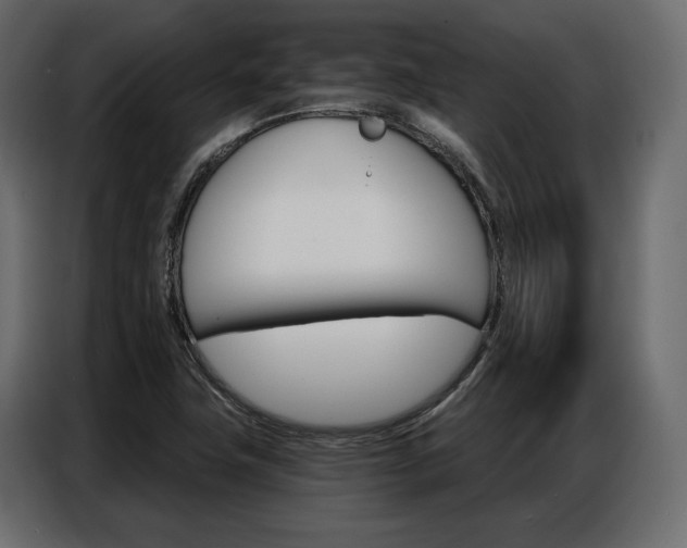 X0000086901411200704160936