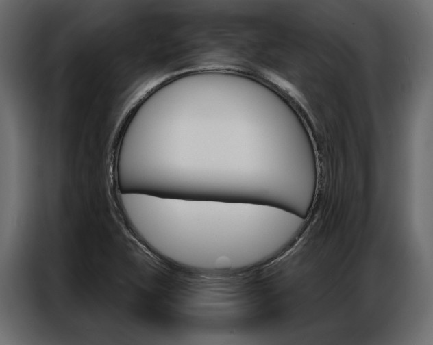 X0000086901415200704160936