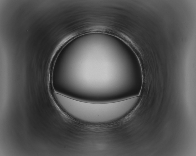 X0000086901418200704160936