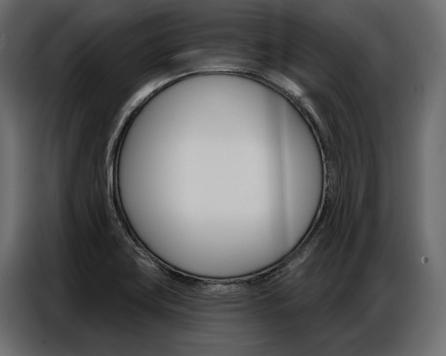 X0000086901419200704160936