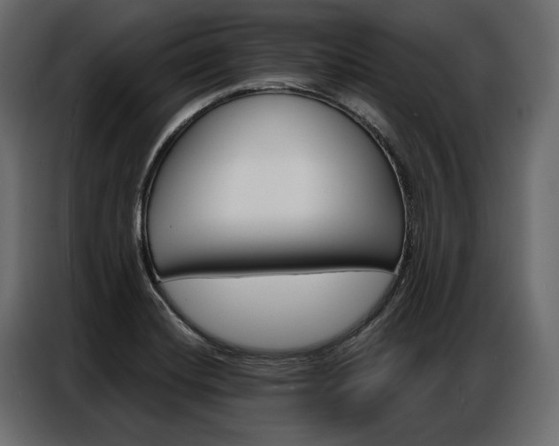 X0000086901420200704160936