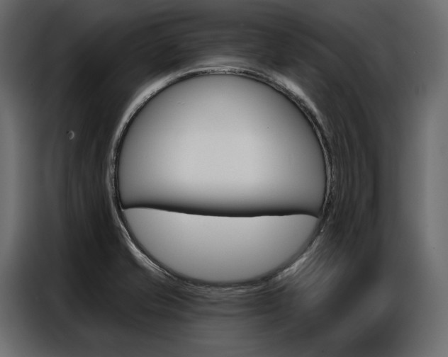 X0000086901421200704160936