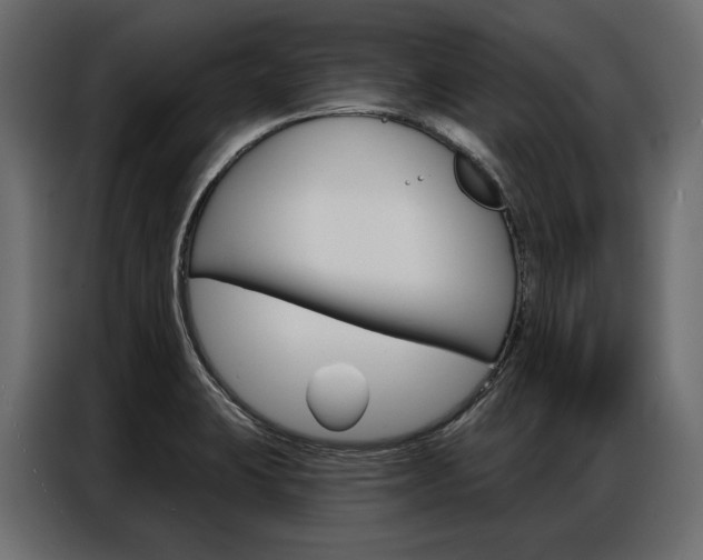 X0000086901423200704160936