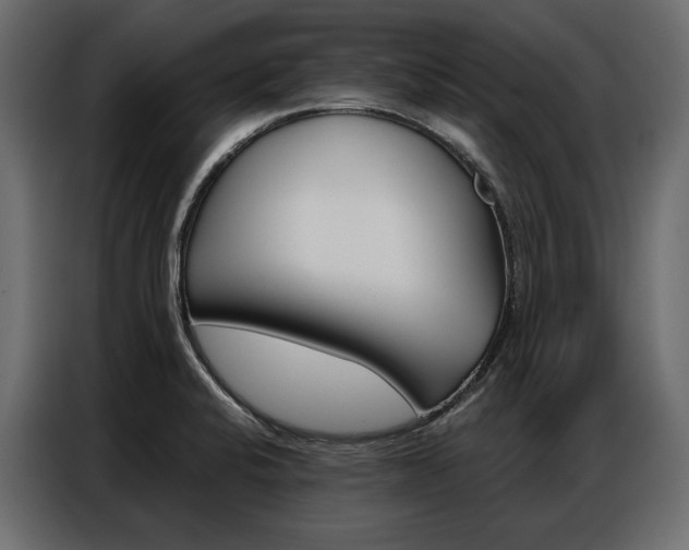 X0000086901424200704160936