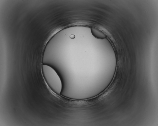 X0000086901425200704160936