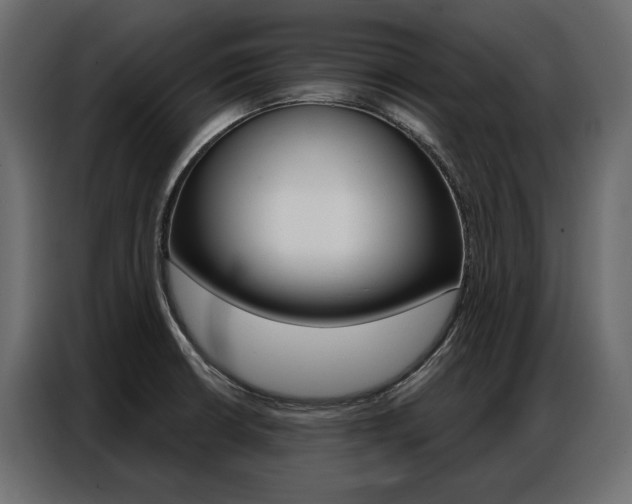 X0000086901426200704160936