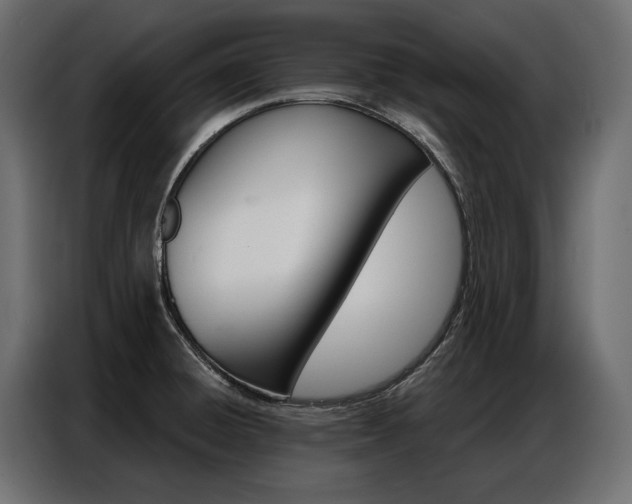 X0000086901428200704160936