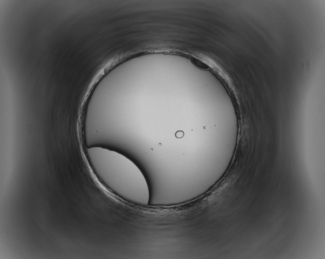 X0000086901429200704160936