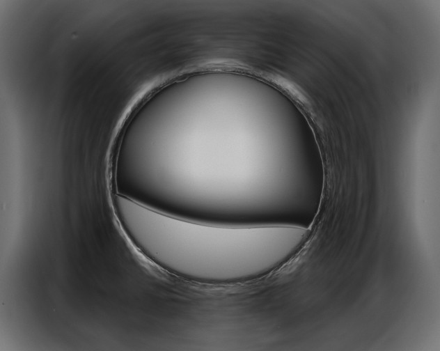X0000086901430200704160936