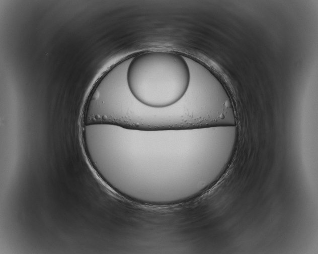 X0000086901432200704160936
