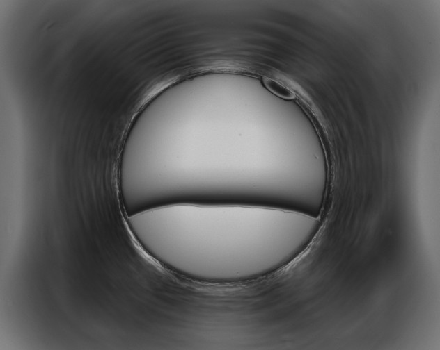 X0000086901433200704160936